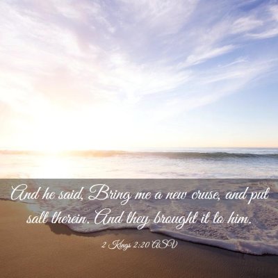 Picture 03 - 2 Kings 2:20 ASV - And he said, Bring me a new cruse, and put salt - Bible Verse Picture