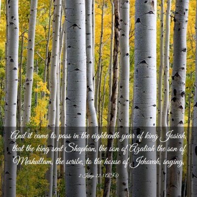 Picture 03 - 2 Kings 22:3 ASV - And it came to pass in the eighteenth year of - Bible Verse Picture