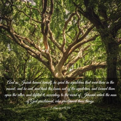 Picture 03 - 2 Kings 23:16 ASV - And as Josiah turned himself, he spied the - Bible Verse Picture