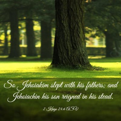 Picture 03 - 2 Kings 24:6 ASV - So Jehoiakim slept with his fathers; and - Bible Verse Picture