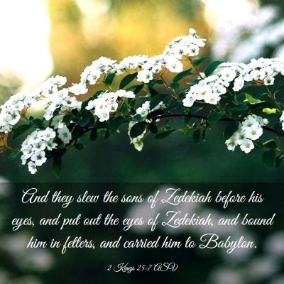 Picture 03 - 2 Kings 25:7 ASV - And they slew the sons of Zedekiah before his - Bible Verse Picture