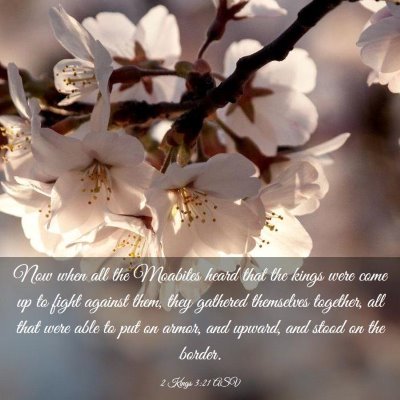 Picture 03 - 2 Kings 3:21 ASV - Now when all the Moabites heard that the kings - Bible Verse Picture