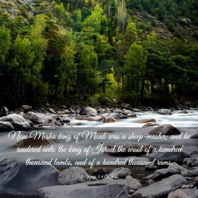 Picture 03 - 2 Kings 3:4 ASV - Now Mesha king of Moab was a sheep-master; and he - Bible Verse Picture
