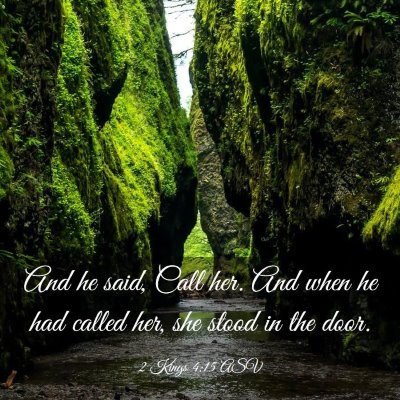 Picture 03 - 2 Kings 4:15 ASV - And he said, Call her. And when he had called - Bible Verse Picture