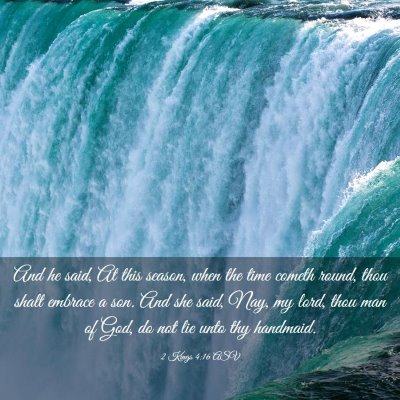 Picture 03 - 2 Kings 4:16 ASV - And he said, At this season, when the time cometh - Bible Verse Picture