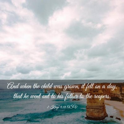 Picture 03 - 2 Kings 4:18 ASV - And when the child was grown, it fell on a day, - Bible Verse Picture