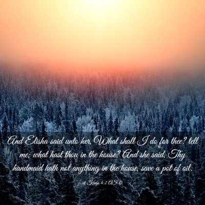 Picture 03 - 2 Kings 4:2 ASV - And Elisha said unto her, What shall I do for - Bible Verse Picture