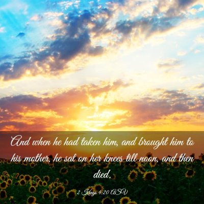 Picture 03 - 2 Kings 4:20 ASV - And when he had taken him, and brought him to his - Bible Verse Picture