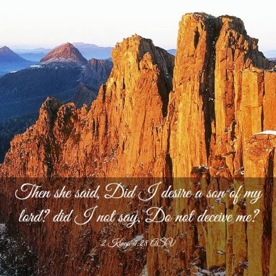 Picture 03 - 2 Kings 4:28 ASV - Then she said, Did I desire a son of my lord? did - Bible Verse Picture