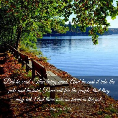 Picture 03 - 2 Kings 4:41 ASV - But he said, Then bring meal. And he cast it into - Bible Verse Picture