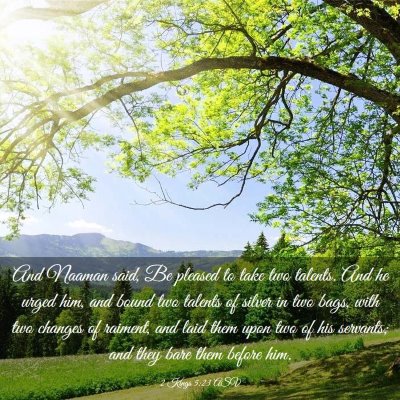 Picture 03 - 2 Kings 5:23 ASV - And Naaman said, Be pleased to take two talents. - Bible Verse Picture