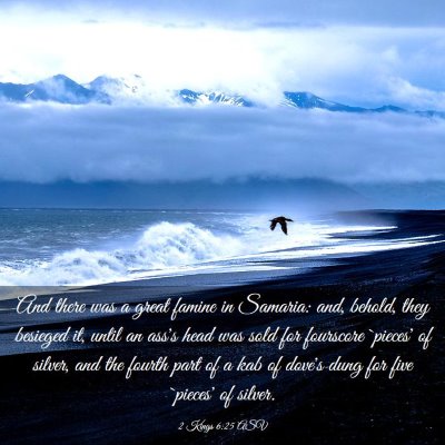 Picture 03 - 2 Kings 6:25 ASV - And there was a great famine in Samaria: and, - Bible Verse Picture