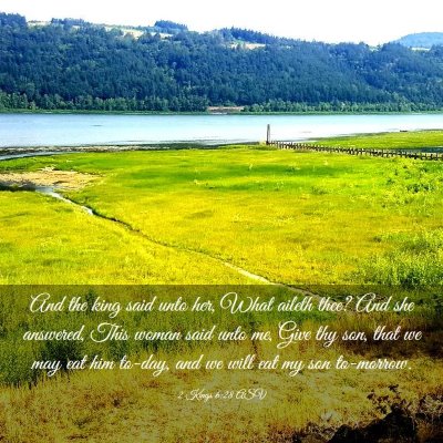 Picture 03 - 2 Kings 6:28 ASV - And the king said unto her, What aileth thee? And - Bible Verse Picture