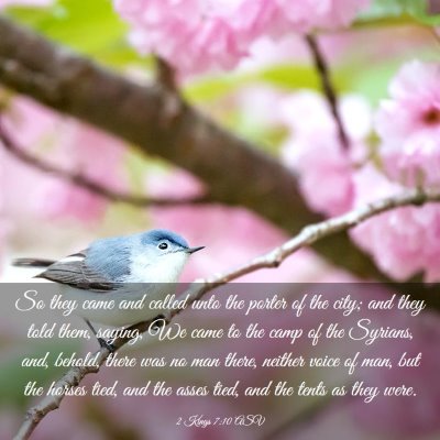 Picture 03 - 2 Kings 7:10 ASV - So they came and called unto the porter of the - Bible Verse Picture