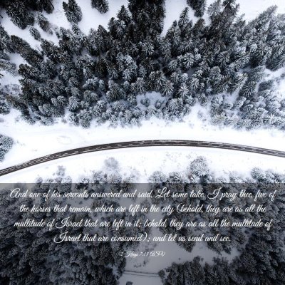 Picture 03 - 2 Kings 7:13 ASV - And one of his servants answered and said, Let - Bible Verse Picture