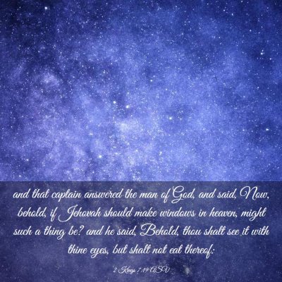 Picture 03 - 2 Kings 7:19 ASV - and that captain answered the man of God, and - Bible Verse Picture