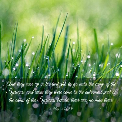 Picture 03 - 2 Kings 7:5 ASV - And they rose up in the twilight, to go unto the - Bible Verse Picture