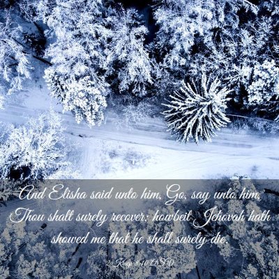 Picture 03 - 2 Kings 8:10 ASV - And Elisha said unto him, Go, say unto him, Thou - Bible Verse Picture
