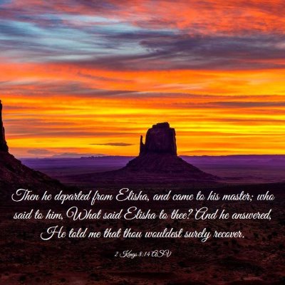 Picture 03 - 2 Kings 8:14 ASV - Then he departed from Elisha, and came to his - Bible Verse Picture