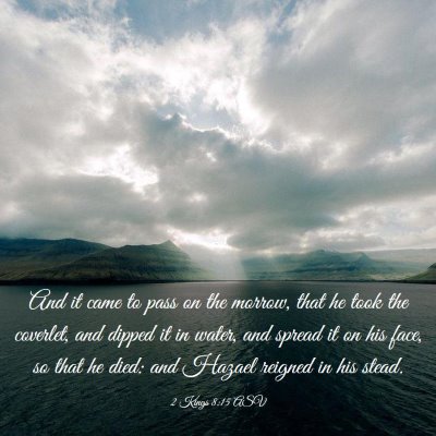 Picture 03 - 2 Kings 8:15 ASV - And it came to pass on the morrow, that he took - Bible Verse Picture