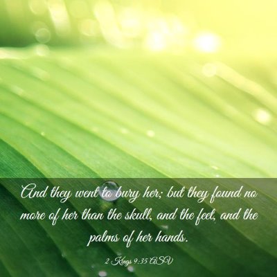 Picture 03 - 2 Kings 9:35 ASV - And they went to bury her; but they found no more - Bible Verse Picture