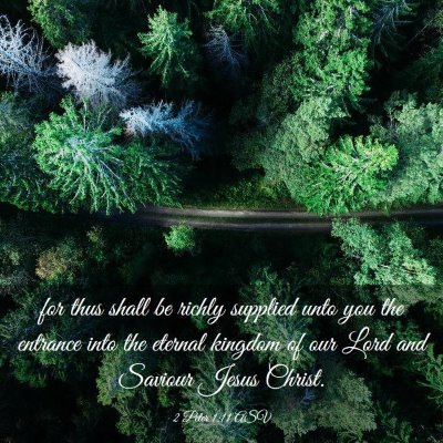 Picture 03 - 2 Peter 1:11 ASV - for thus shall be richly supplied unto you the - Bible Verse Picture