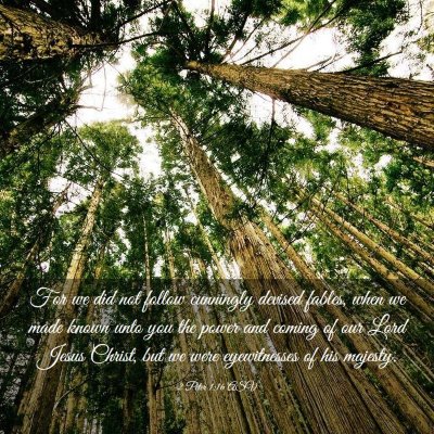 Picture 03 - 2 Peter 1:16 ASV - For we did not follow cunningly devised fables, - Bible Verse Picture