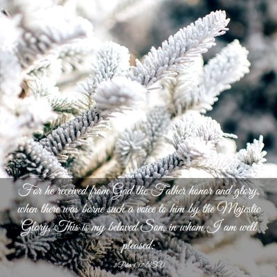 Picture 03 - 2 Peter 1:17 ASV - For he received from God the Father honor and - Bible Verse Picture