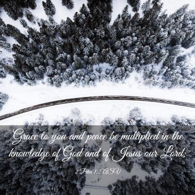 Picture 03 - 2 Peter 1:2 ASV - Grace to you and peace be multiplied in the - Bible Verse Picture