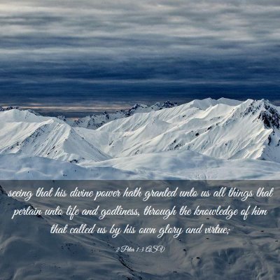 Picture 03 - 2 Peter 1:3 ASV - seeing that his divine power hath granted unto us - Bible Verse Picture