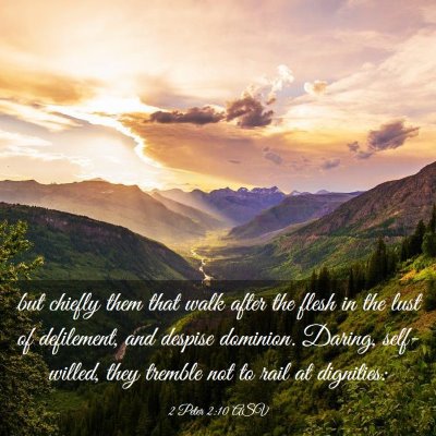 Picture 03 - 2 Peter 2:10 ASV - but chiefly them that walk after the flesh in the - Bible Verse Picture