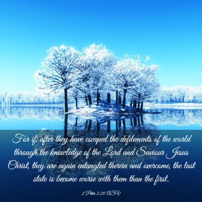 Picture 03 - 2 Peter 2:20 ASV - For if, after they have escaped the defilements - Bible Verse Picture
