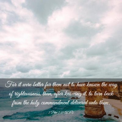 Picture 03 - 2 Peter 2:21 ASV - For it were better for them not to have known the - Bible Verse Picture