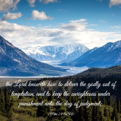 Picture 03 - 2 Peter 2:9 ASV - the Lord knoweth how to deliver the godly out of - Bible Verse Picture