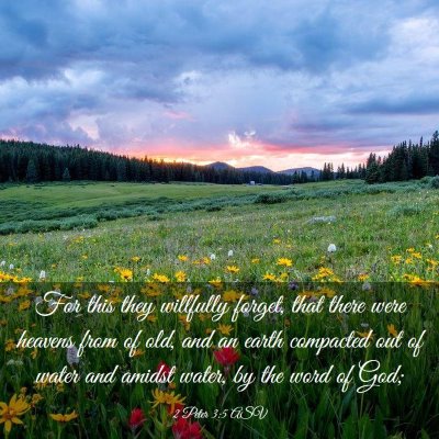 Picture 03 - 2 Peter 3:5 ASV - For this they willfully forget, that there were - Bible Verse Picture