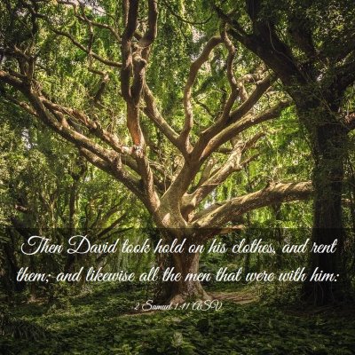 Picture 03 - 2 Samuel 1:11 ASV - Then David took hold on his clothes, and rent - Bible Verse Picture