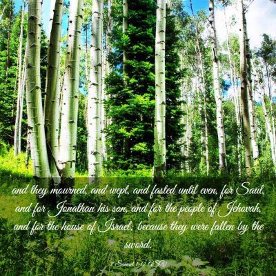 Picture 03 - 2 Samuel 1:12 ASV - and they mourned, and wept, and fasted until - Bible Verse Picture