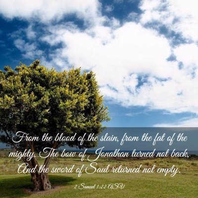 Picture 03 - 2 Samuel 1:22 ASV - From the blood of the slain, from the fat of the - Bible Verse Picture