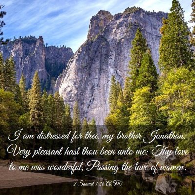 Picture 03 - 2 Samuel 1:26 ASV - I am distressed for thee, my brother Jonathan: - Bible Verse Picture