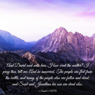 Picture 03 - 2 Samuel 1:4 ASV - And David said unto him, How went the matter? I - Bible Verse Picture
