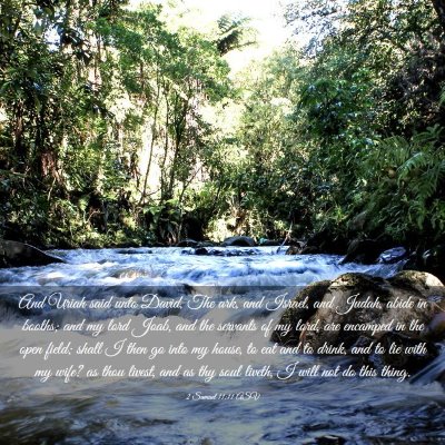 Picture 03 - 2 Samuel 11:11 ASV - And Uriah said unto David, The ark, and Israel, - Bible Verse Picture