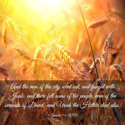 Picture 03 - 2 Samuel 11:17 ASV - And the men of the city went out, and fought with - Bible Verse Picture