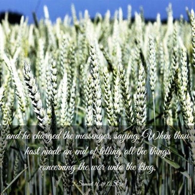 Picture 03 - 2 Samuel 11:19 ASV - and he charged the messenger, saying, When thou - Bible Verse Picture