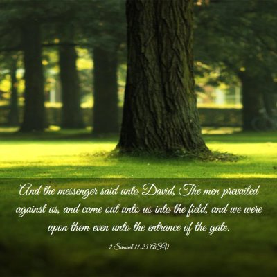Picture 03 - 2 Samuel 11:23 ASV - And the messenger said unto David, The men - Bible Verse Picture