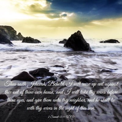 Picture 03 - 2 Samuel 12:11 ASV - Thus saith Jehovah, Behold, I will raise up evil - Bible Verse Picture