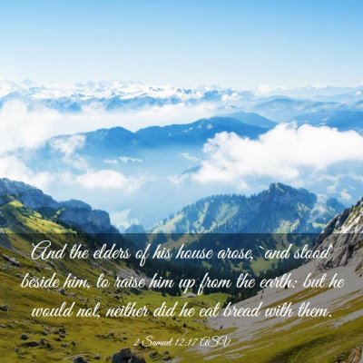 Picture 03 - 2 Samuel 12:17 ASV - And the elders of his house arose, `and stood' - Bible Verse Picture