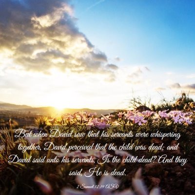 Picture 03 - 2 Samuel 12:19 ASV - But when David saw that his servants were - Bible Verse Picture