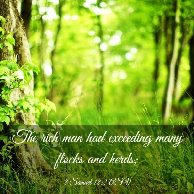 Picture 03 - 2 Samuel 12:2 ASV - The rich man had exceeding many flocks and - Bible Verse Picture