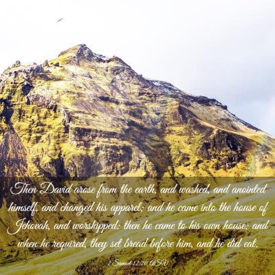 Picture 03 - 2 Samuel 12:20 ASV - Then David arose from the earth, and washed, and - Bible Verse Picture