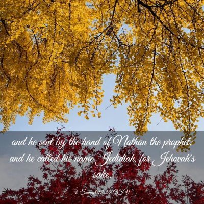 Picture 03 - 2 Samuel 12:25 ASV - and he sent by the hand of Nathan the prophet; - Bible Verse Picture